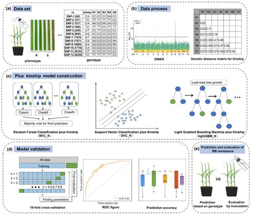 智能育種新突破 AI模型精準篩選抗病種子，數字化技術引領農業革新
